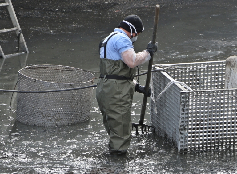 ISLAK MENDİLLER ATIK SU ALTYAPISINI TEHDİT EDİYOR